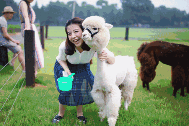 四川温江七彩海巢欢乐世界门票价格|七彩海巢欢乐世界