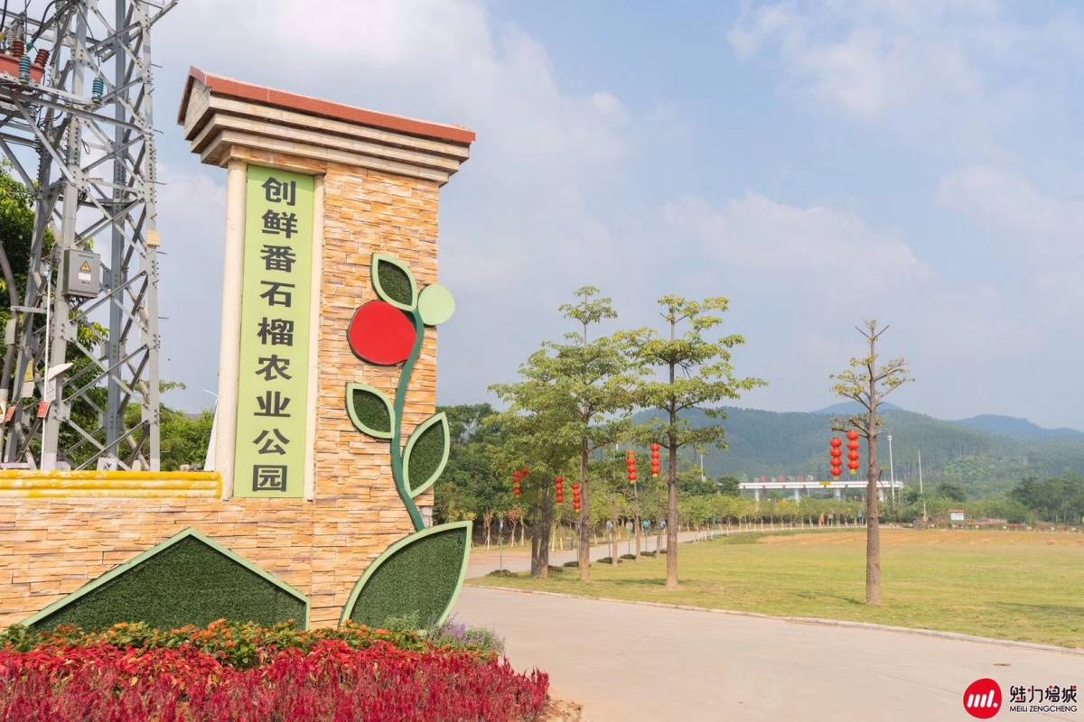 广东| 广州 创鲜番石榴农业公园