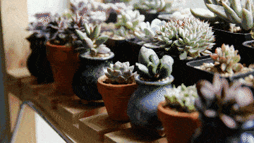 c_zoom,w_640_images_20171107_ceee25c98071417395193a4685ad7d7b