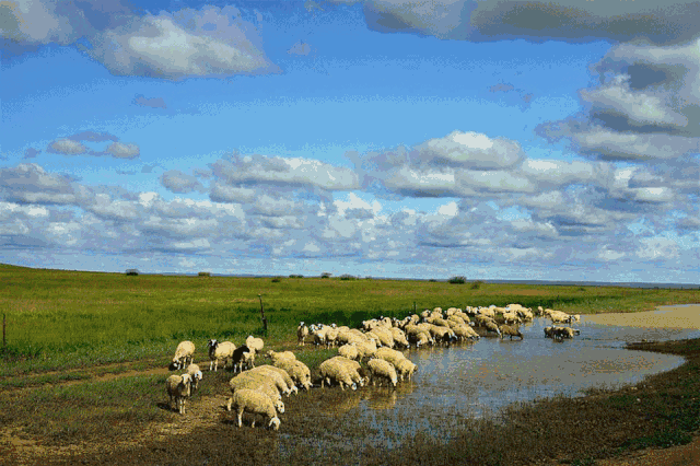 ueditorimages_094826aee7f58c80ef22dccb986ef992.gif