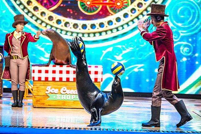 海洋公园门票价格详情 85