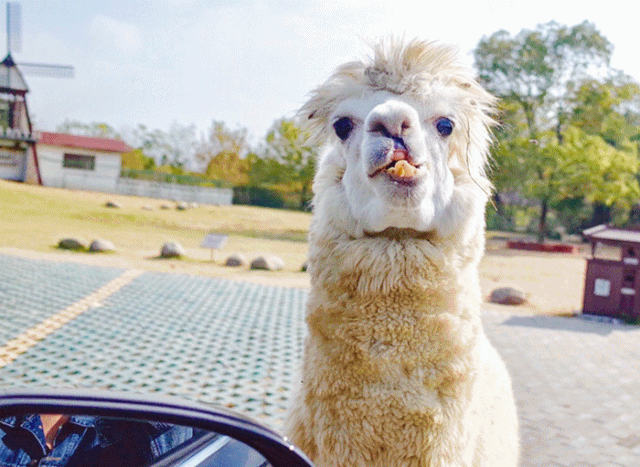 7gif.gif