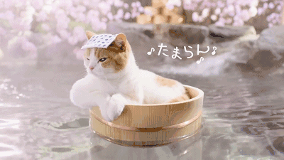 微信图片_20201112173330.gif