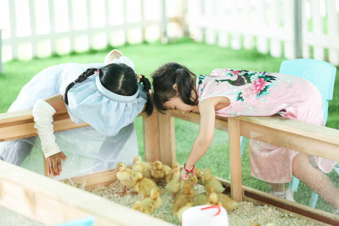 小山坡亲子农场