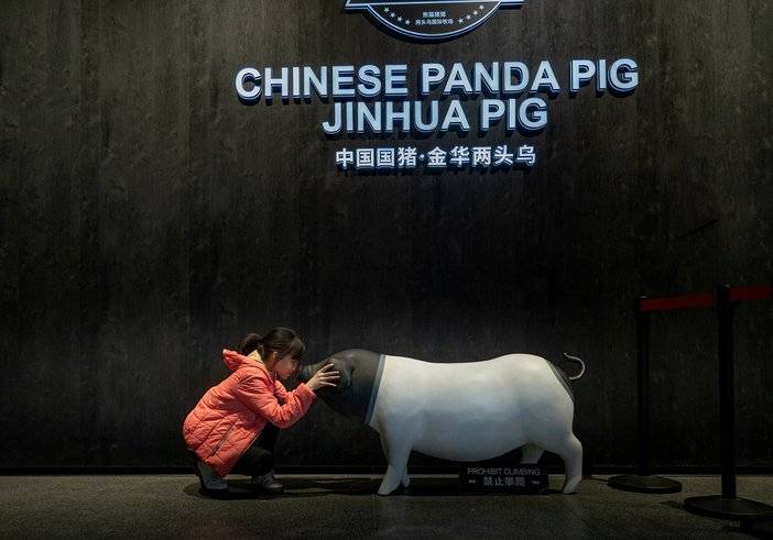 熊猫猪猪两头乌国际牧场预订_地址_价格查询-【要出发, 有品质的旅行】