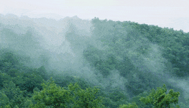 aaeb3facf1764e74a2149512395c3d01.gif